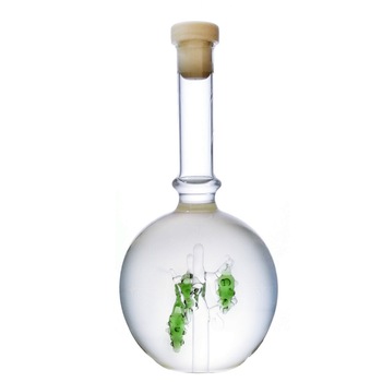 Rachiu de fructe in balon vita de vie 500ml Rachiu de fructe in balon vita de vie 500ml