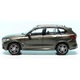 Automacheta BMW X5 G05 2019, 1:87, Minichamps