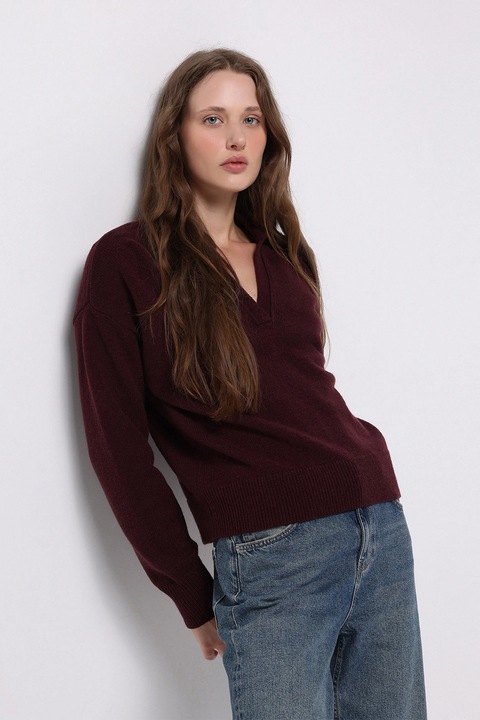 COLIN'S, Pulover regular fit cu guler polo, Violet tyrian