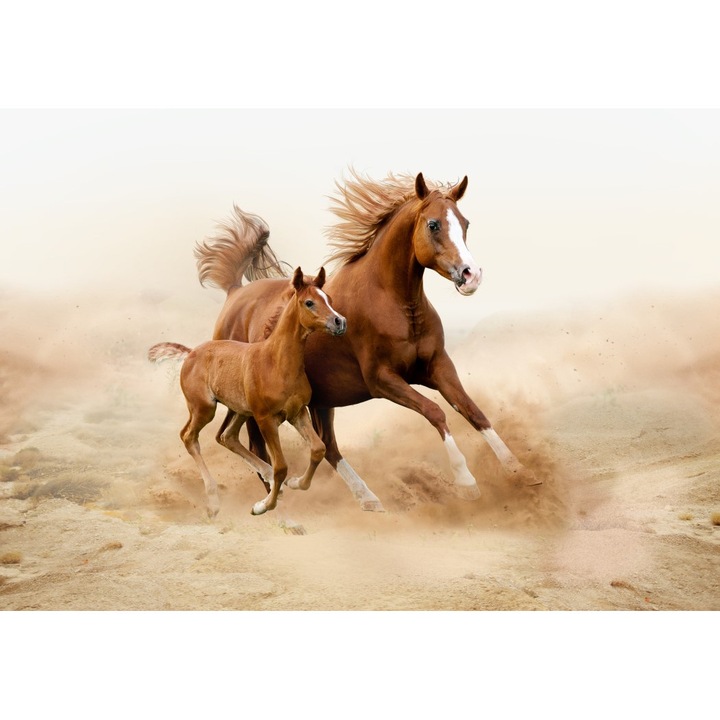 Tablou, Myletos, Model Cal, 100 x 143 cm, Multicolor