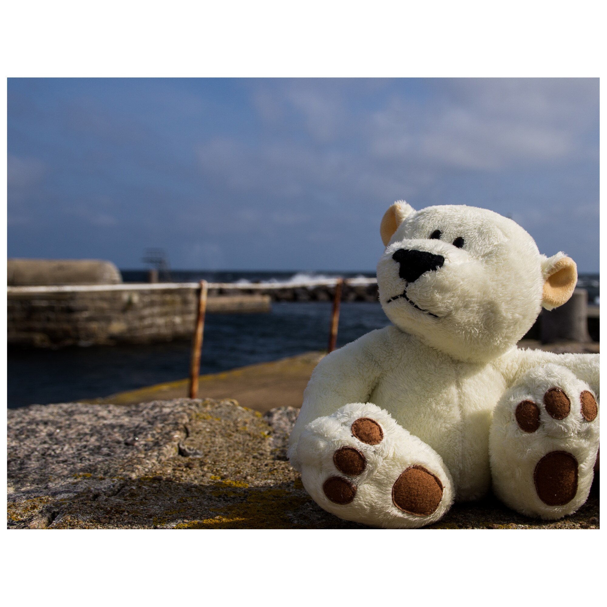 Tablou Canvas Artantida - Toy Bear 60x40 cm