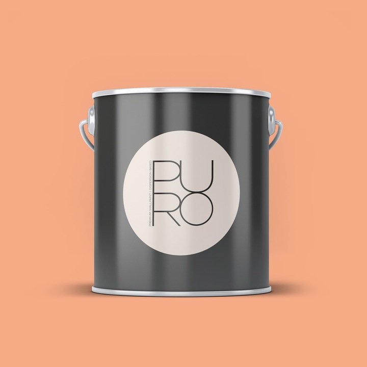 Vopsea lavabila de interior profesionala pe baza de dispersie in apa, finisaj mat, acoperire clasa 1, rezistenta la abraziune umeda clasa 2, lavabila si fara solventi, aplicare uniforma fara stropi, 2.5L, portocaliu