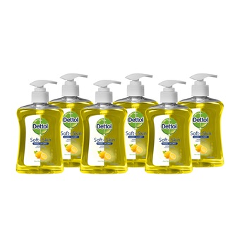 Sapun lichid DETTOL Citrus, 6 buc, 250 ml Sapun lichid DETTOL Citrus, 6 buc, 250 ml