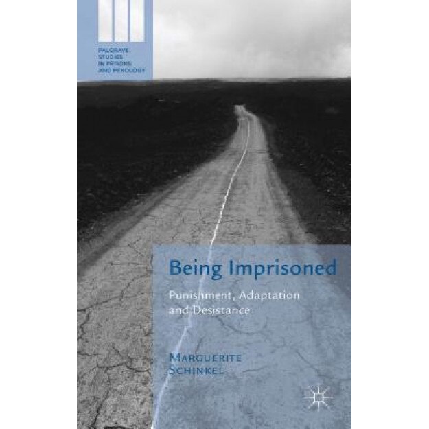 Being Imprisoned: Punishment, Adaptation and Desistance, Marguerite Schinkel (Author)