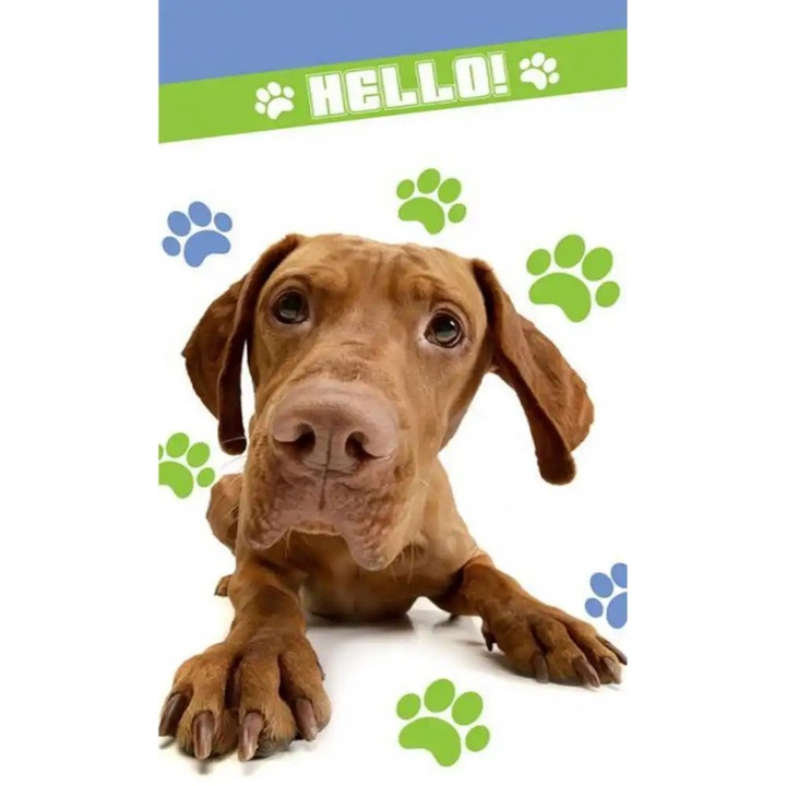 Prosop de baie Detexpol Piesek 70x140cm, bumbac, culori pastelate, prietenos cu alergicii