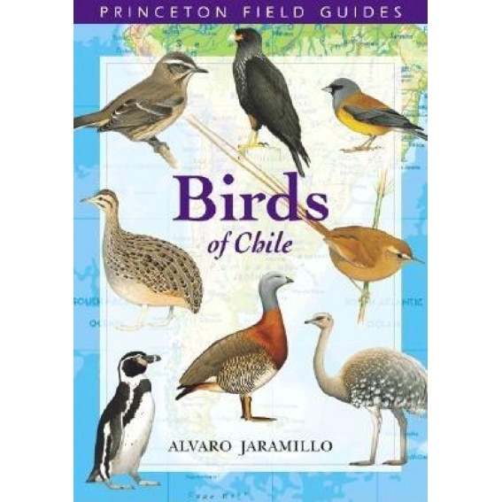 Birds of Chile, Alvaro Jaramillo