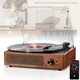 Pick-up stereo，SHIOOE®，Record Player，cu Bluetooth，3 viteze reglabile，33/45/78RPM, Compatibil cu 7/10/12 Inch，Boxe stereo, AUX-IN, iesire RCA，USB Player，cu capac anti-praf，retro style，Pentru divertisment acasa si decorarea casei