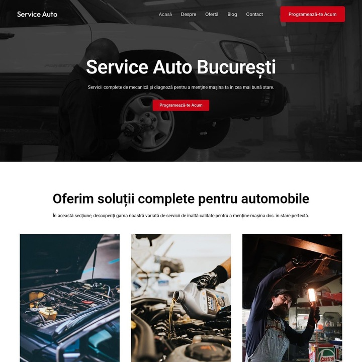 Уебсайт за автосервиз, Готов за инсталиране, Професионален