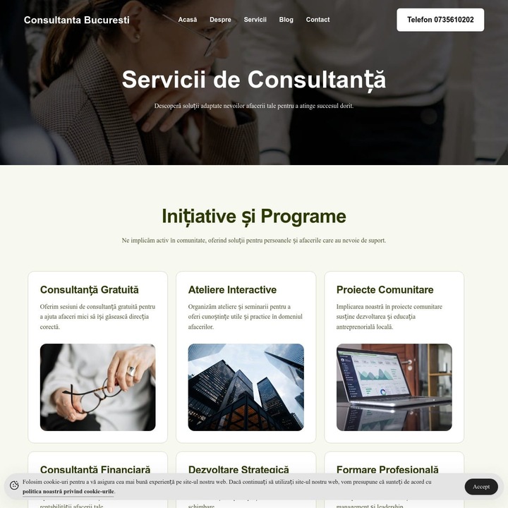 Site de Consultanta Profesional – Gata de instalat