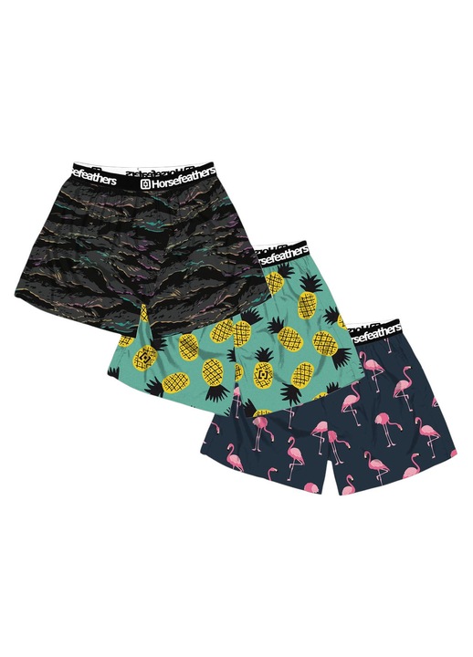 Set 3 perechi barbati Horsefeathers, bumbac, multicolor, Multicolor