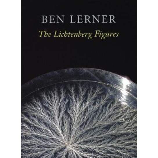 The Lichtenberg Figures, Ben Lerner