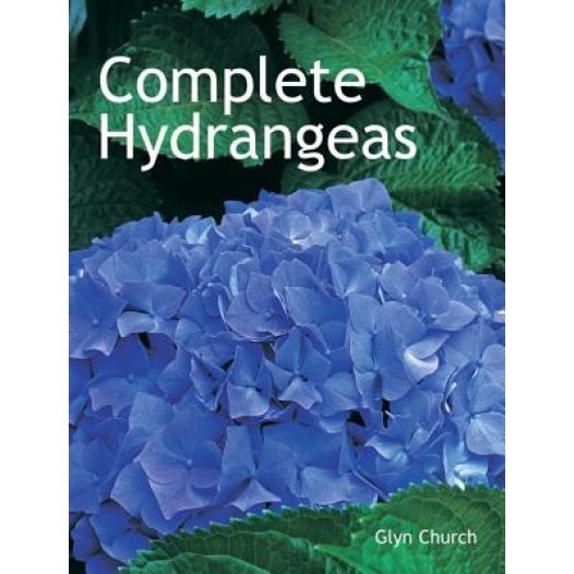 Complete Hydrangeas, Glyn Church