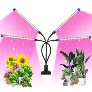 Proiectoare si lampi de lucru