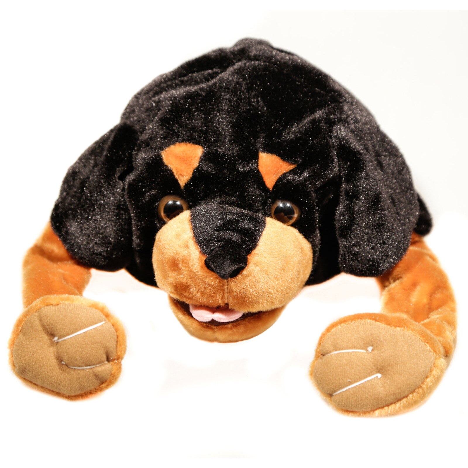 Caciula, copii, Caine+3ani