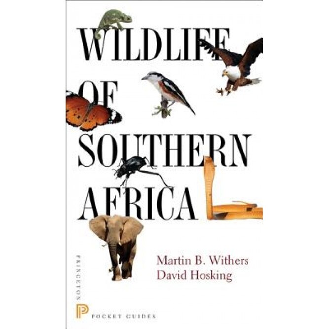Wildlife of Southern Africa, Martin B. Withers (Author)