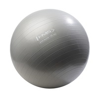 Minge fitness/yoga/pilates HMS YB02, 55cm, anti-burst, grafit