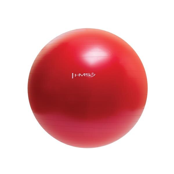 Minge fitness/yoga/pilates HMS YB01, 65cm, rosu