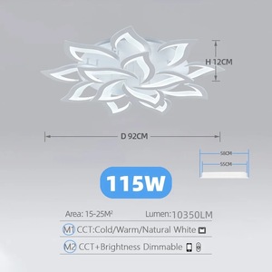 Aplice si plafoniere