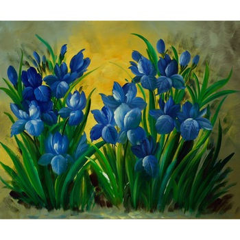 Tablou, natura statica, irisi, pictura pe panza in ulei, 60x50 cm Tablou, natura statica, irisi, pictura pe panza in ulei, 60x50 cm