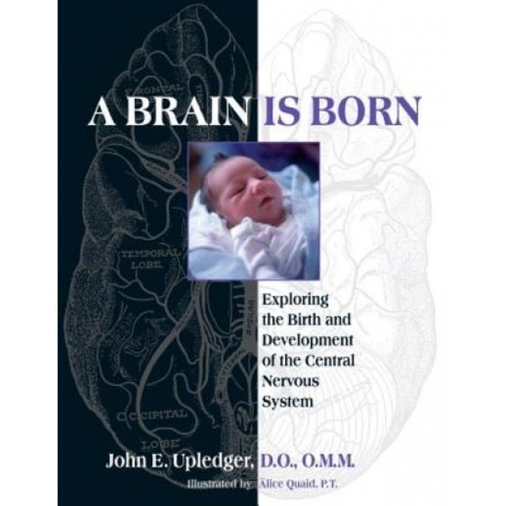 A Brain Is Born: Exploring the Birth and Development of the Central Nervous System, John E. Upledger (Author)