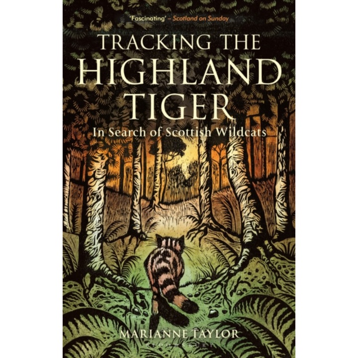 Tracking The Highland Tiger - Marianne Taylor