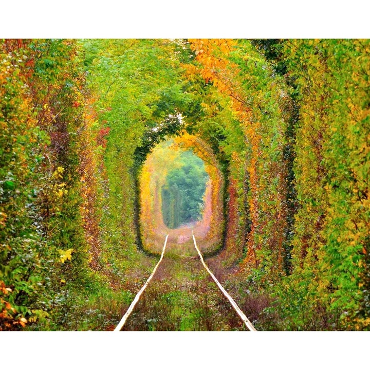 Set de broderie Goblen cu Diamante 5D, piese patrate din rasina, panza adeziva pe rama lemn, 40x50 cm, Tunelul Dragostei dintre Caras-Severin si Otelu Rosu, GBN-510