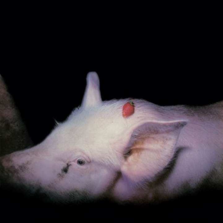 The Damned - Strawberries (40th Anniversary/2cd Edition) (1CD)