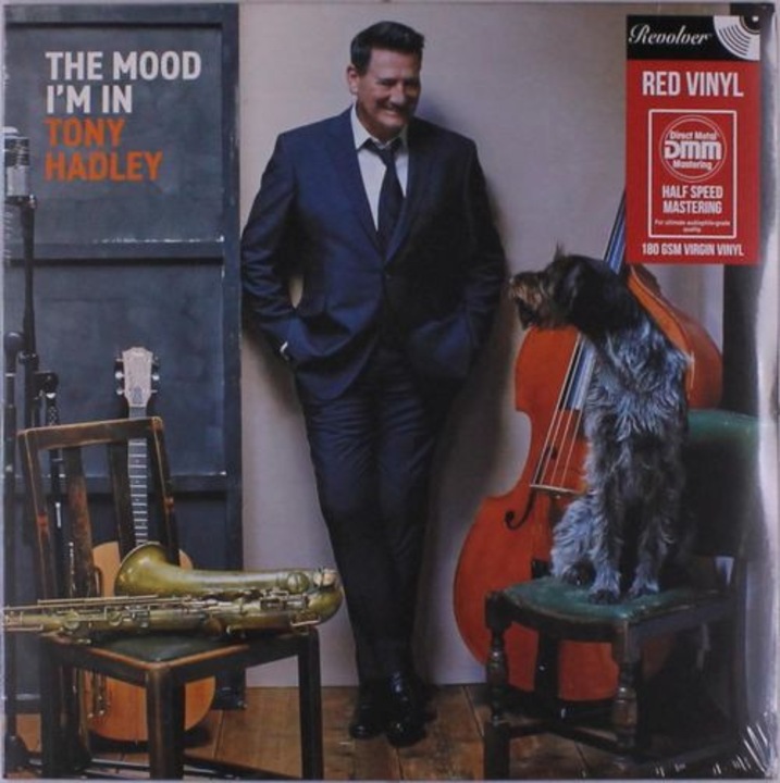 Tony Hadley - The Mood I'M In (1Vinyl)