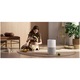 Xiaomi BHR9969EU Smart Pet Care Air Purifier légtiszító, Wi-Fi, Hangutasítás, LED kijelző, Fehér