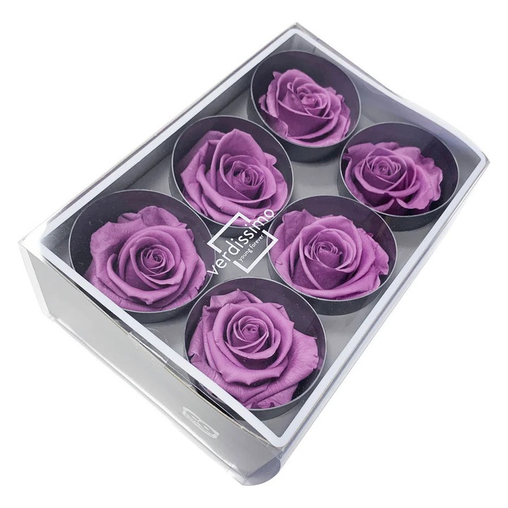 Cutie cu 6 trandafiri criogenati, Lilac, Verdissimo