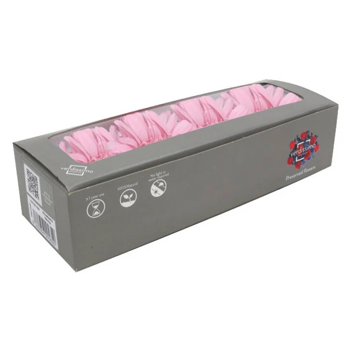 Cutie cu 4 Gerbera criogenate, Roz, Verdissimo