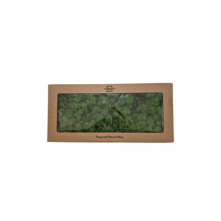 Cutie Licheni stabilizati 500 gr, Verde, Verdissimo