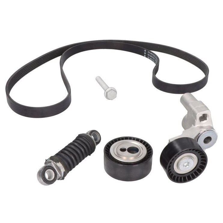 Set curea accesorii pentru transmisie CITROEN ZX Break (N2) 1.9 D