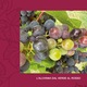 Vin alb Tommasini all’Origine, VINI DI FAMIGLIA DAL 1948, origine Veneto Italia, 0.75L