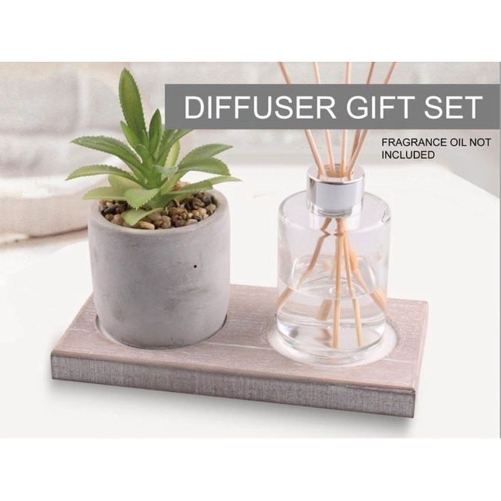 Set Suport Ulei Parfumat cu Ghiveci Ceramic Cu Planta si 6 Bete Design Elegant Stil Rafinament