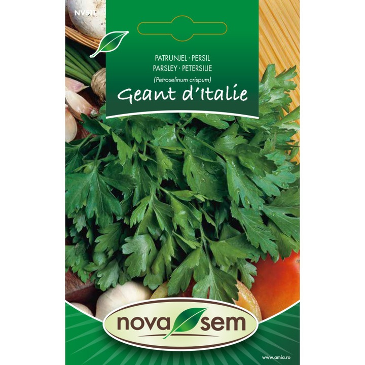 Seminte de patrunjel Gigant de Italia Novasem, frunze mari, verde inchis, 5 gr