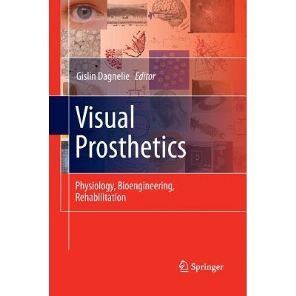 Visual Prosthetics: Physiology, Bioengineering, Rehabilitation, Gislin Dagnelie (Editor)