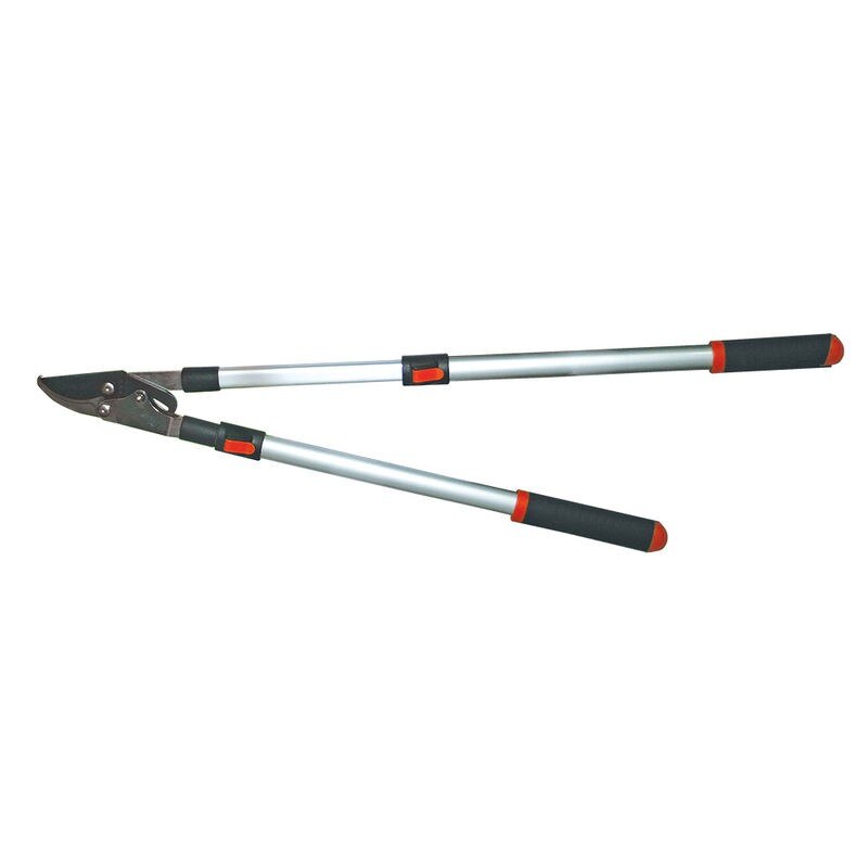 Foarfeca pentru crengi extensibila, Top Garden, 30-38