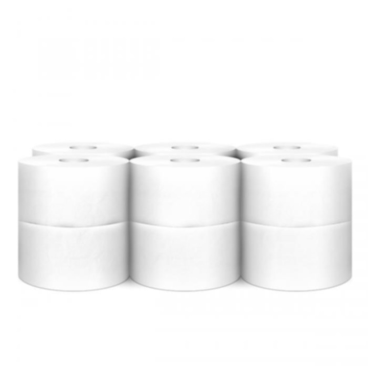 Hartie igienica Esenia Mini Jumbo 100 m, 12 role/bax