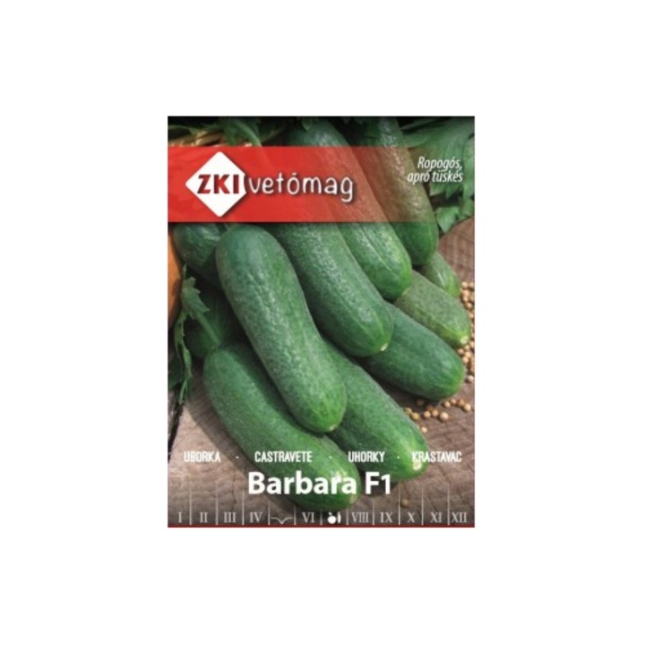 Seminte castraveti ZKI Barbara F1, 1.5g, toleranta la boli, fructe verzi inchise