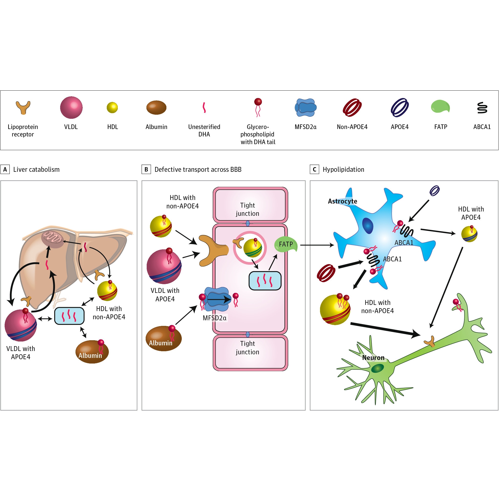 DHA (Acid Docosahexaenoic), Biovea, 100 Mg, 60 Capsule eMAG.ro