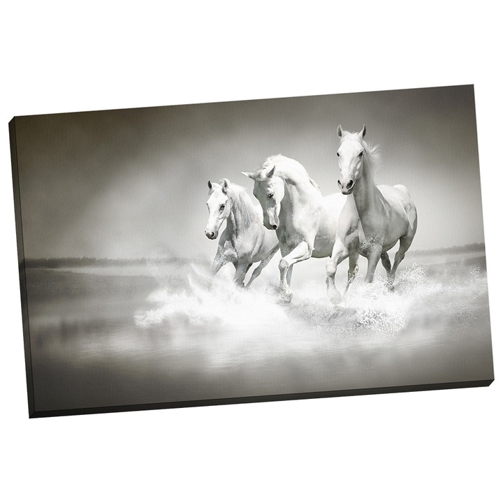 Tablou grand canvas "Cai albi alergand" - 120 x 80 cm