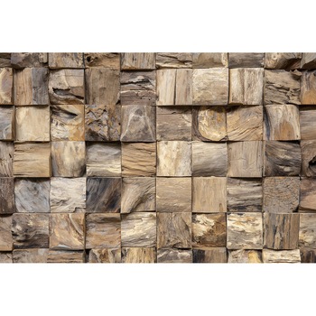 Placi decorative 3D din lemn de Tec Qubow, o cutie cu 11 placi, ce acopera 1 mp Placi decorative 3D din lemn de Tec Qubow, o cutie cu 11 placi, ce acopera 1 mp