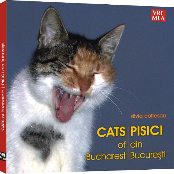 Pisici din Bucuresti - Silvia Colfescu