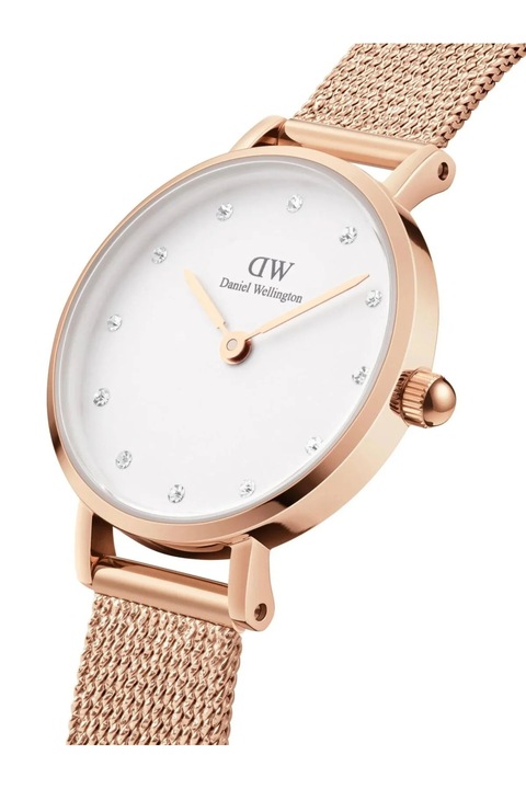 Női karóra Daniel Wellington DW00100529