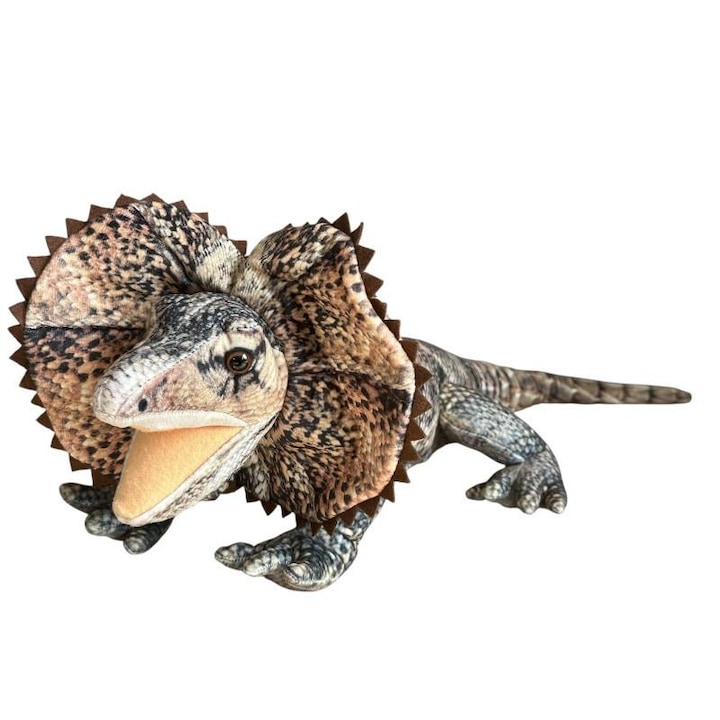 Soparla cu barba DUBI, Agama, 65 cm