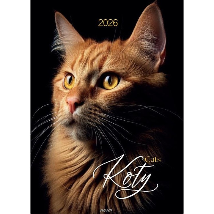 Kalendarz 2026 scienny Koty, Avanti, 16 pagini, 230x305mm