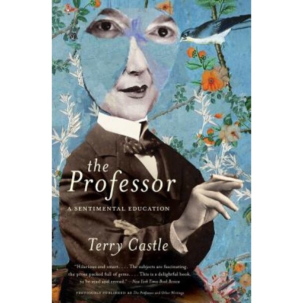 The Professor: A Sentimental Education, Terry Castle