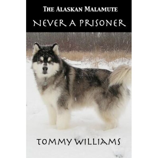 The Alaskan Malamute: Never a Prisoner, Tommy Williams (Author)