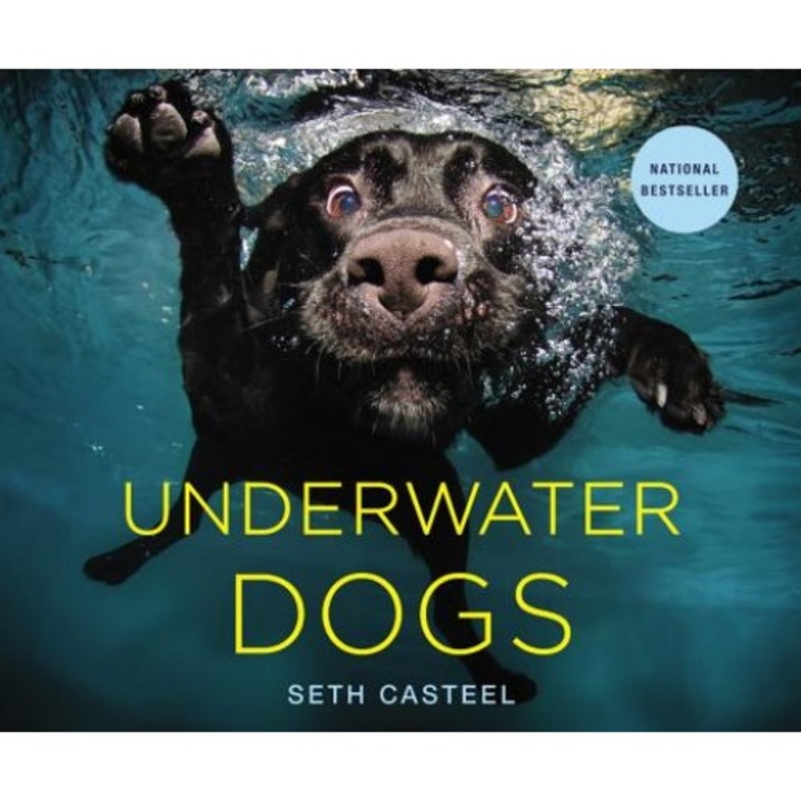 Underwater Dogs, Seth Casteel (Author)